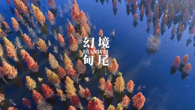 逃出上锁的现代房间8