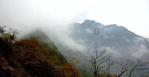 探探猫历险记2