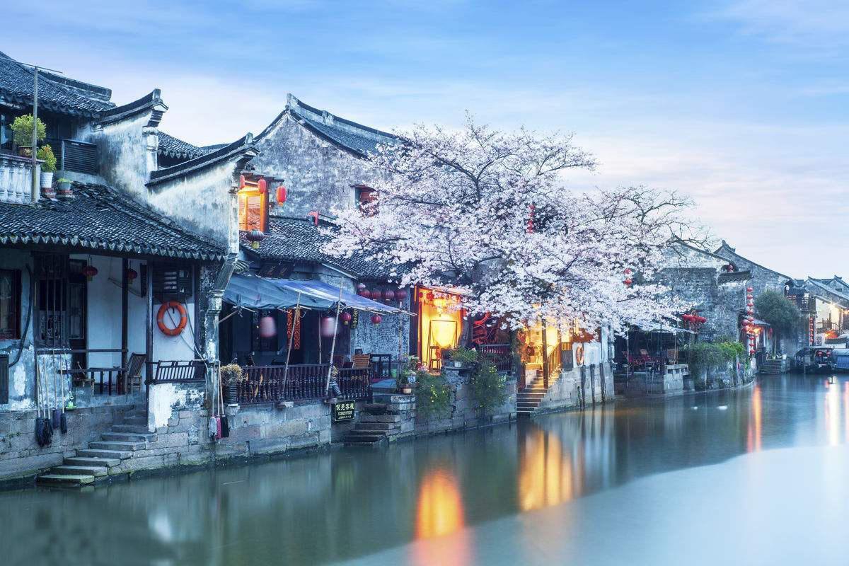 逃离整洁的庭院